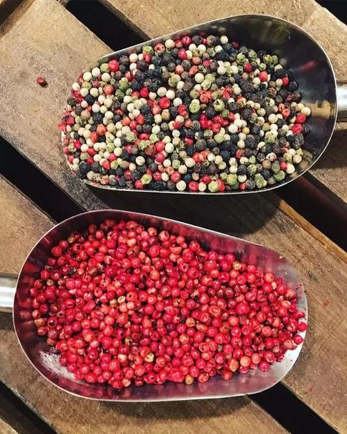 胡椒籽最全游戏攻略解说_胡椒籽最新游戏技巧通关