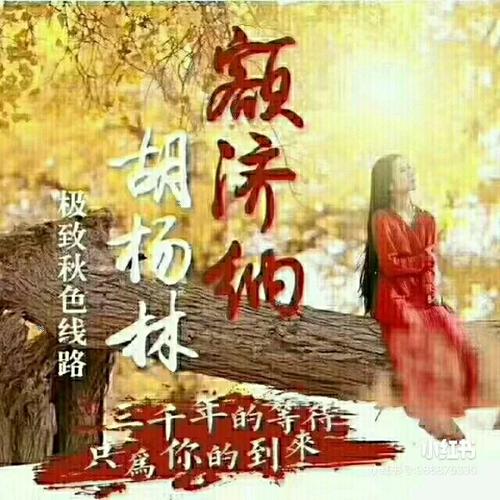 胡杨泪最全游戏攻略解说_胡杨泪最新游戏技巧通关