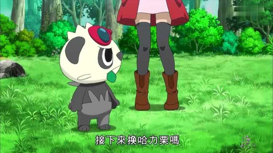 胖胖哈力最全游戏攻略解说_胖胖哈力最新游戏技巧通关