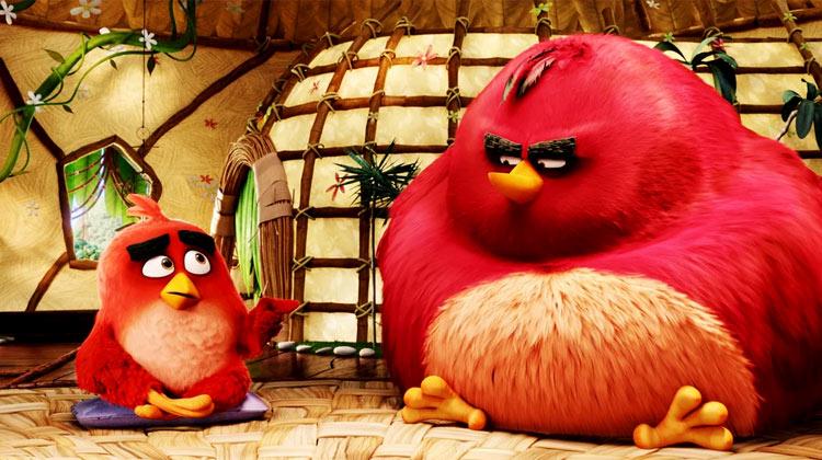 胖红最全游戏攻略解说_胖红最新游戏技巧通关