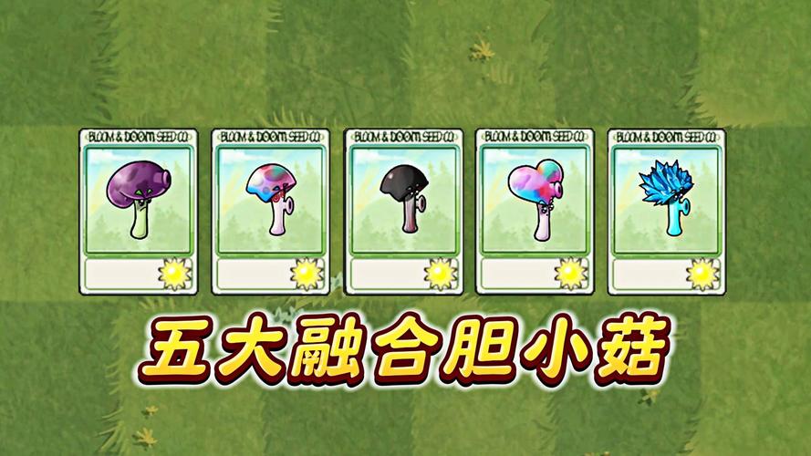 胆小菇最全游戏攻略解说_胆小菇最新游戏技巧通关