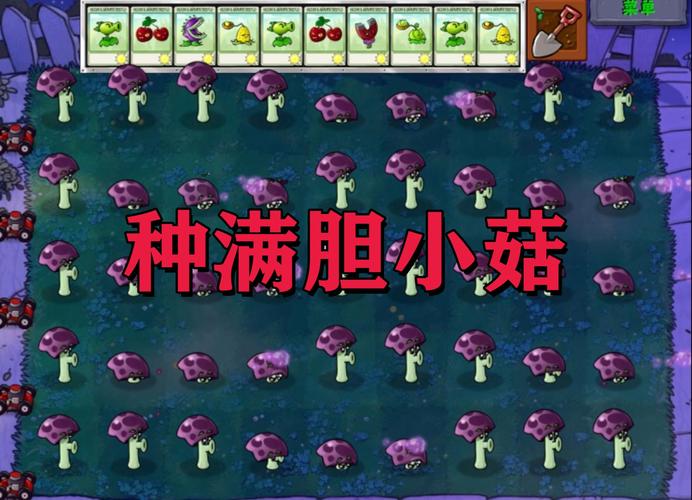 胆小菇最全游戏攻略解说_胆小菇最新游戏技巧通关