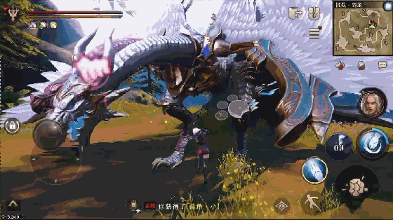 羽龙最全游戏攻略解说_羽龙最新游戏技巧通关