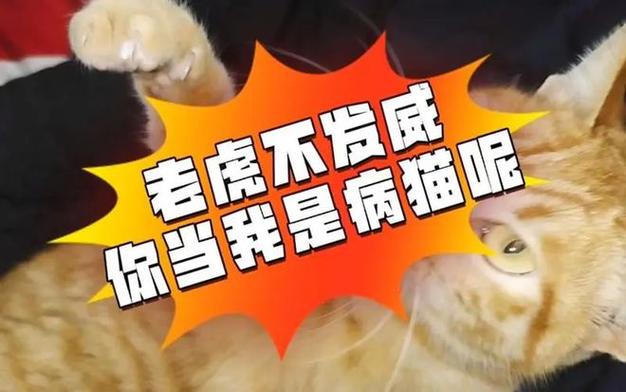 老虎不发威最全游戏攻略解说_老虎不发威最新游戏技巧通关