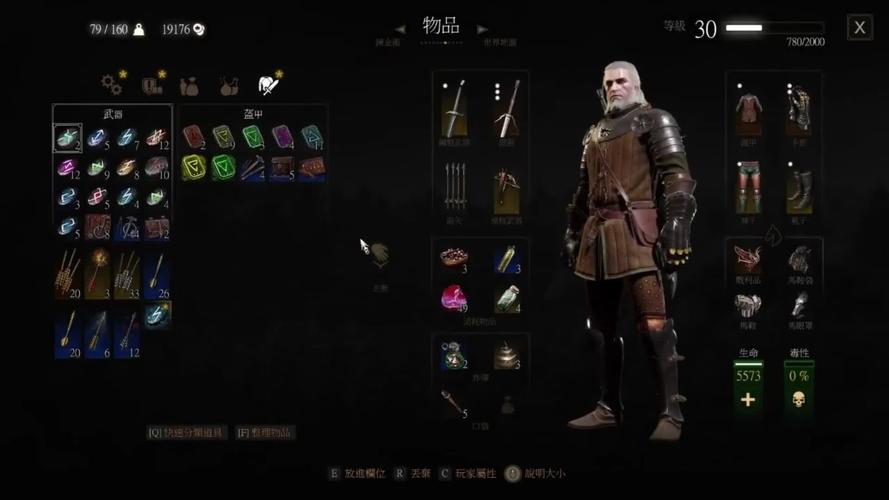 老巫师最全游戏攻略解说_老巫师最新游戏技巧通关