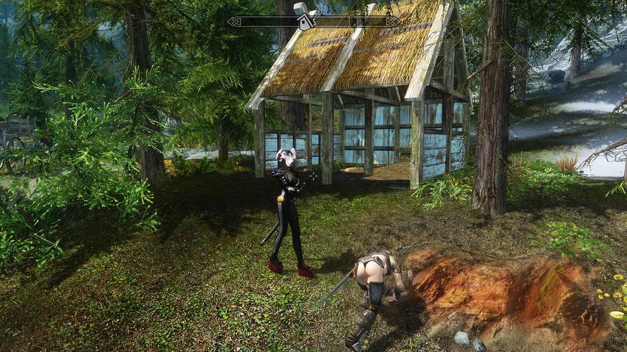 老头滚动条最全游戏攻略解说_老头滚动条最新游戏技巧通关