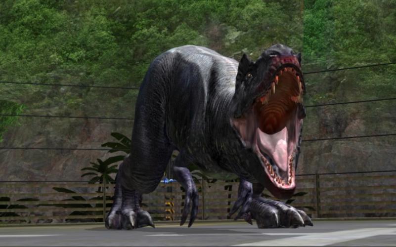 美颌龙最全游戏攻略解说_美颌龙最新游戏技巧通关