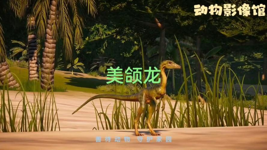 美颌龙最全游戏攻略解说_美颌龙最新游戏技巧通关