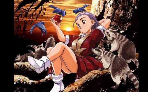 美少女梦工厂3最新攻略秘籍_美少女梦工厂3高效通关技巧