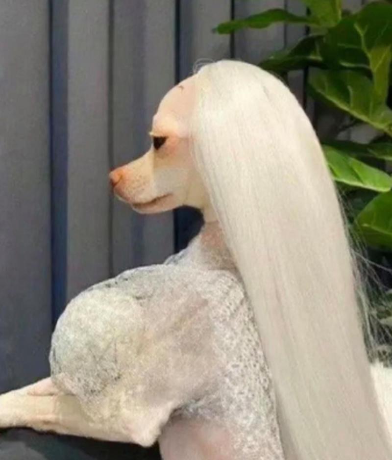 美人犬最全游戏攻略解说_美人犬最新游戏技巧通关