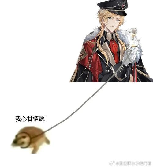 罗夏最全游戏攻略解说_罗夏最新游戏技巧通关