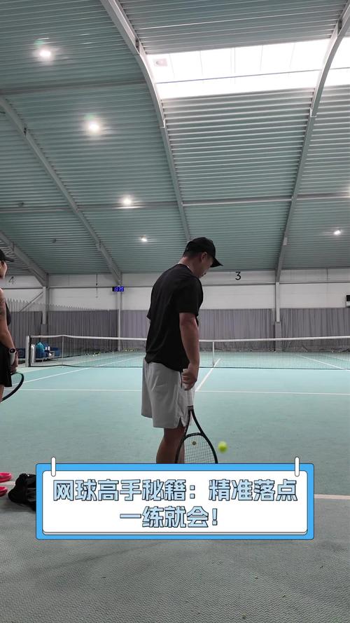 网球高手最全游戏攻略解说_网球高手最新游戏技巧通关