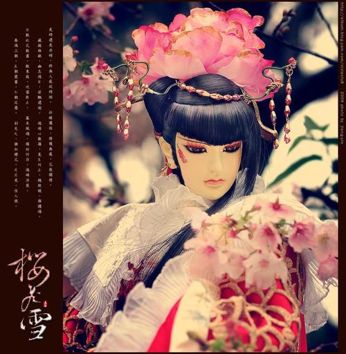 绯羽怨姬最全游戏攻略解说_绯羽怨姬最新游戏技巧通关