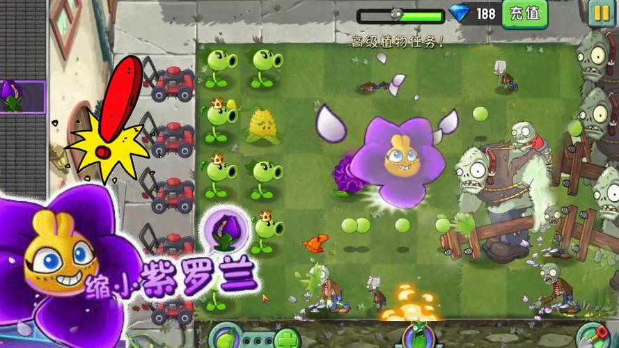 缩小紫罗兰最全游戏攻略解说_缩小紫罗兰最新游戏技巧通关