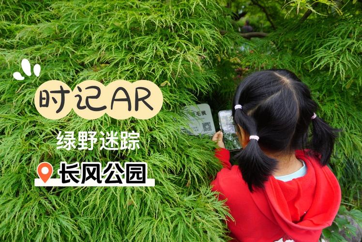 绿野迷踪最全游戏攻略解说_绿野迷踪最新游戏技巧通关