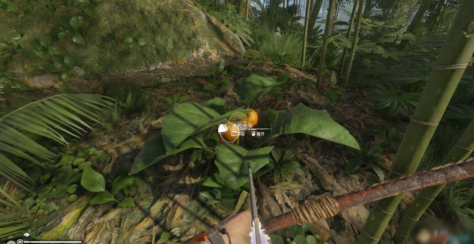 绿色市场最全游戏攻略解说_绿色市场最新游戏技巧通关