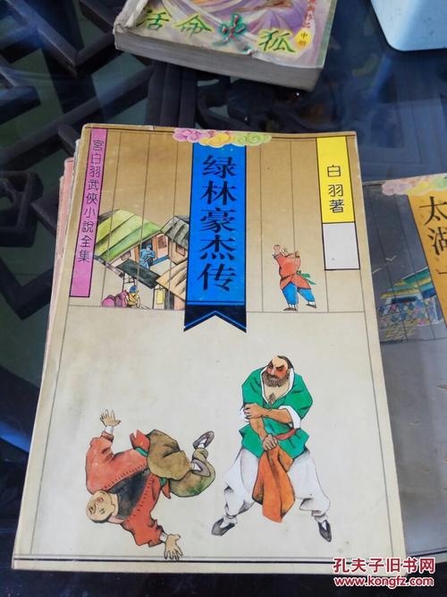 绿林豪杰最全游戏攻略解说_绿林豪杰最新游戏技巧通关