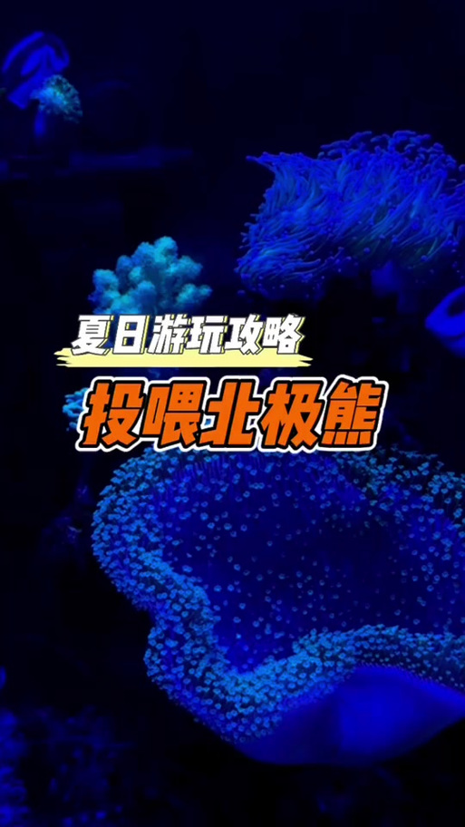 维寒迪最全游戏攻略解说_维寒迪最新游戏技巧通关