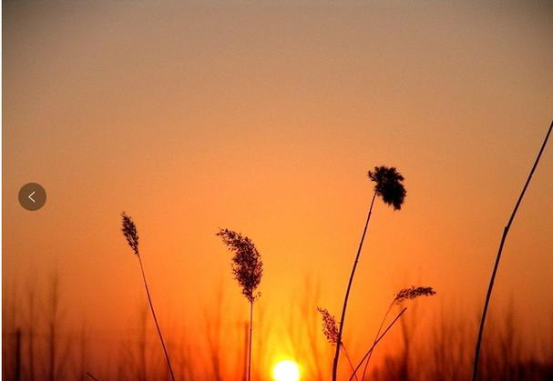 吃水果闯鬼门关游戏下载_吃水果闯鬼门关官网下载_手机安卓苹果app