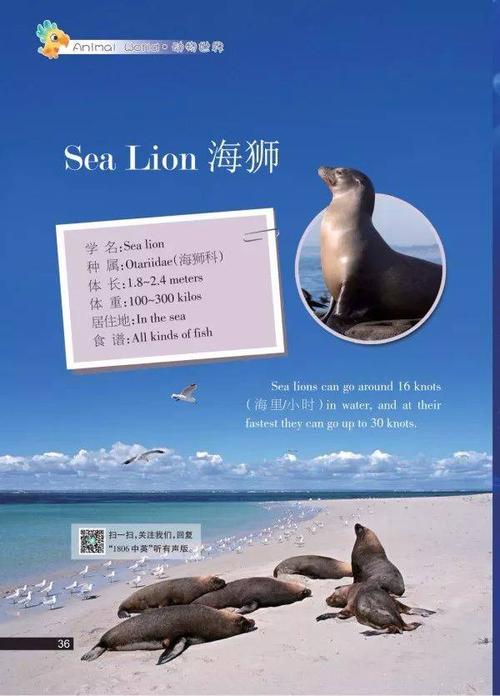 右脑英语动物世界手游下载_右脑英语动物世界官网下载_手机安卓苹果app