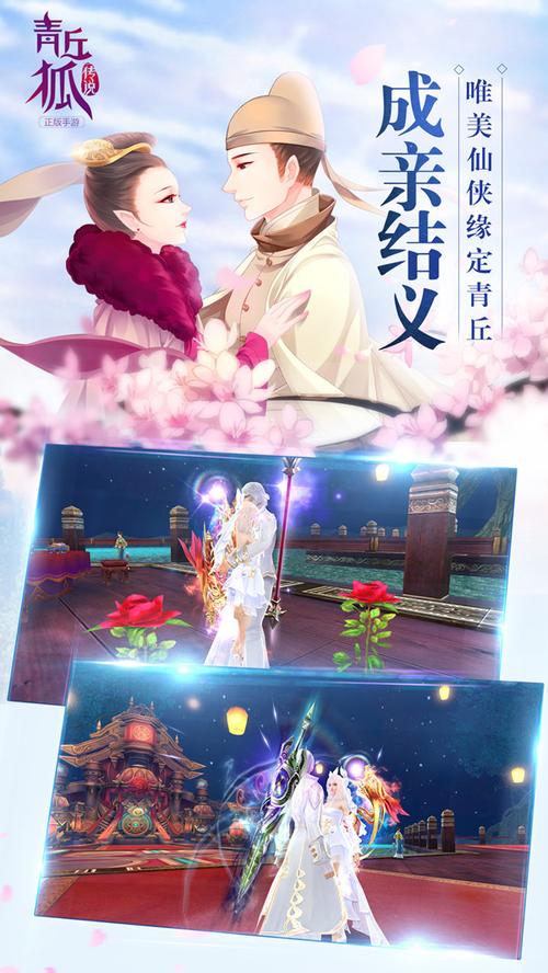 结姻游戏最全攻略解说_结姻游戏最新技巧通关