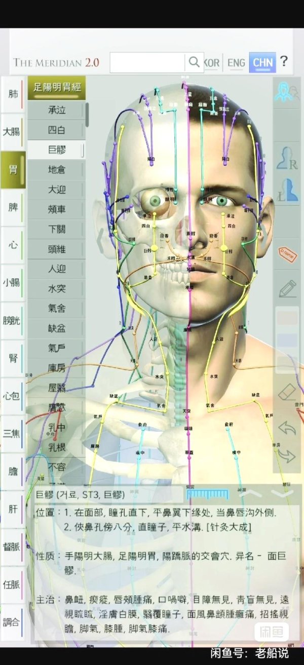 经脉模拟器最全游戏攻略解说_经脉模拟器最新游戏技巧通关