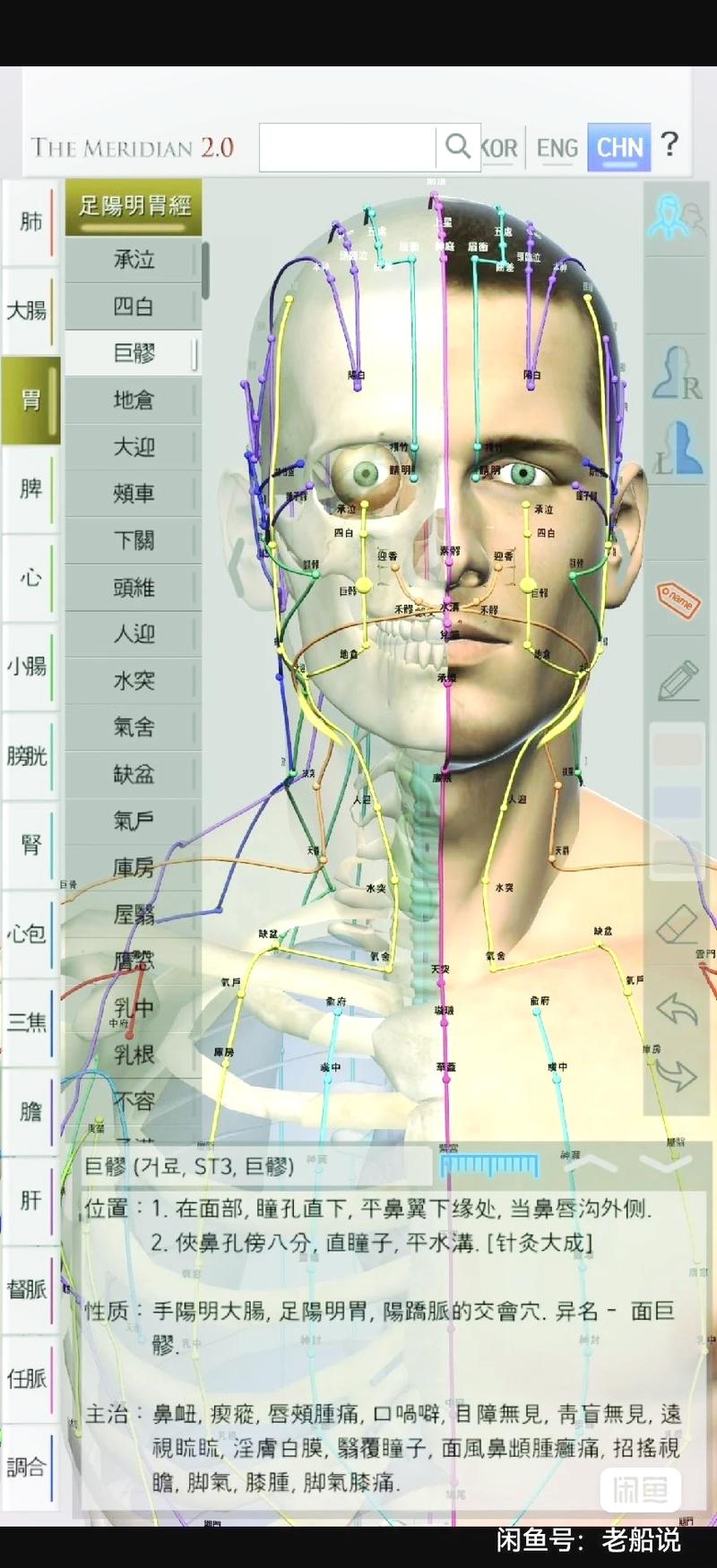 经脉模拟器最全游戏攻略解说_经脉模拟器最新游戏技巧通关