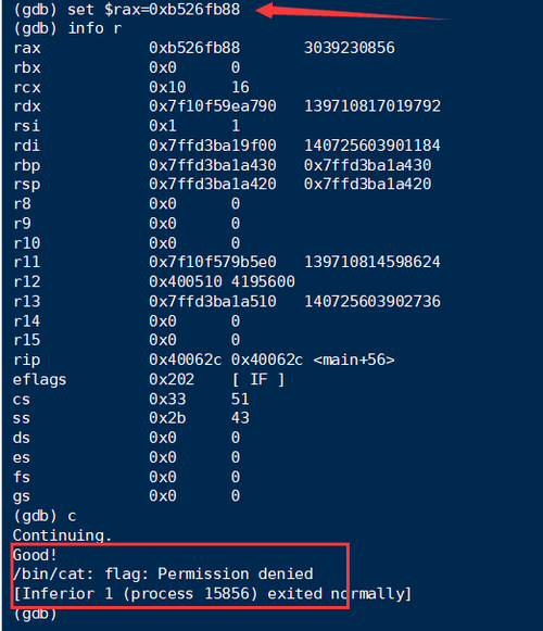 终极觉醒全流程攻略秘籍_终极觉醒高效通关技巧指南