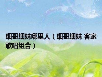 细哥细妹最全游戏攻略解说_细哥细妹最新游戏技巧通关