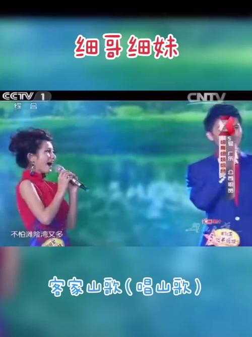 细哥细妹最全游戏攻略解说_细哥细妹最新游戏技巧通关