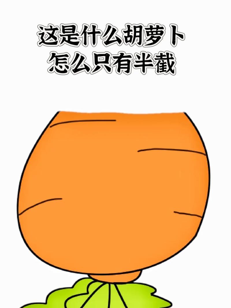 红萝卜兔最全游戏攻略解说_红萝卜兔最新游戏技巧通关