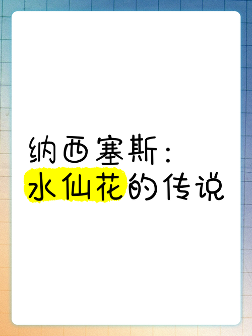 纳西塞斯最全游戏攻略解说_纳西塞斯最新游戏技巧通关