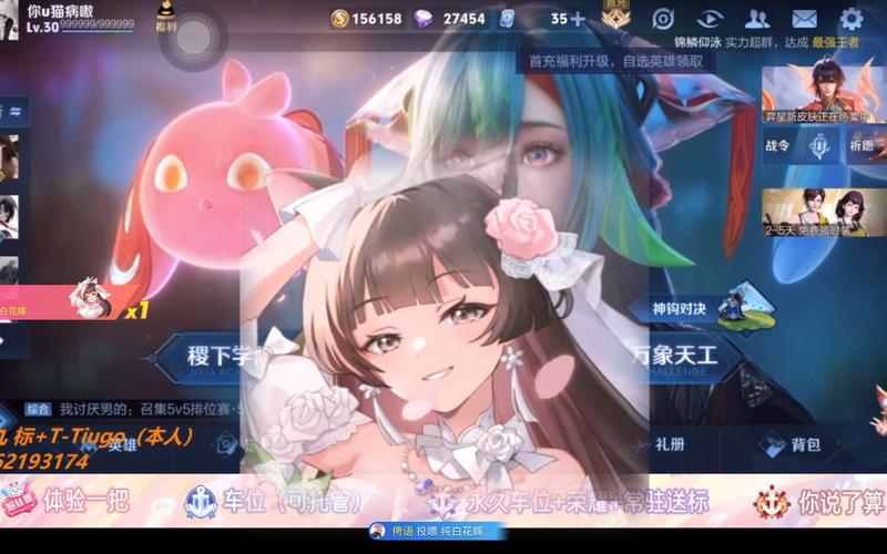 纯白花嫁最全游戏攻略解说_纯白花嫁最新游戏技巧通关