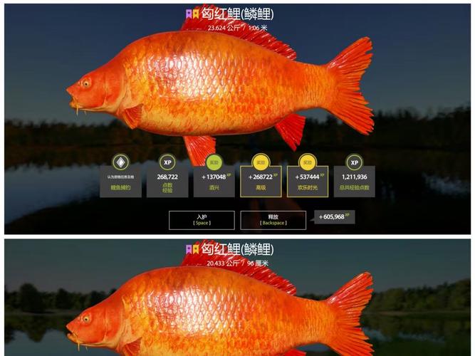 红鲤鱼最全游戏攻略解说_红鲤鱼最新游戏技巧通关