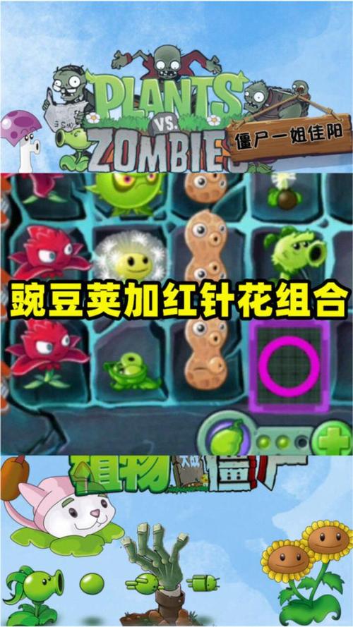 红针花最全游戏攻略解说_红针花最新游戏技巧通关