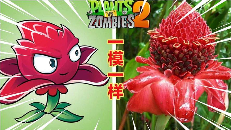 红针花最全游戏攻略解说_红针花最新游戏技巧通关