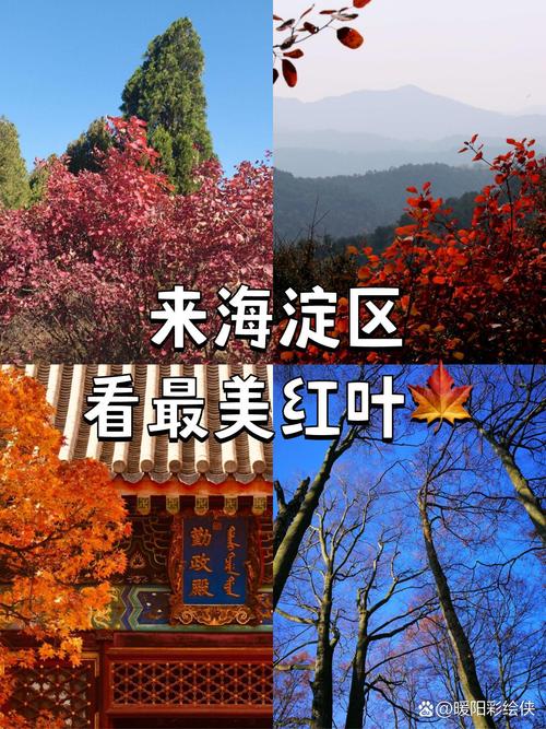 红叶知秋最全游戏攻略解说_红叶知秋最新游戏技巧通关