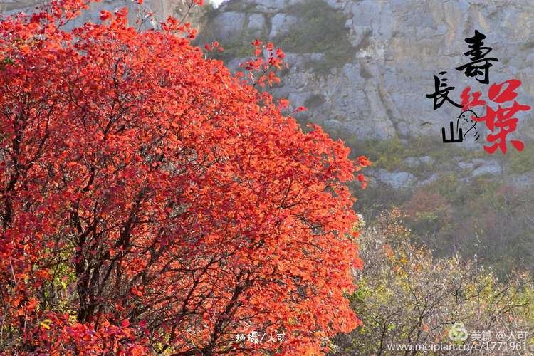 红叶知秋最全游戏攻略解说_红叶知秋最新游戏技巧通关