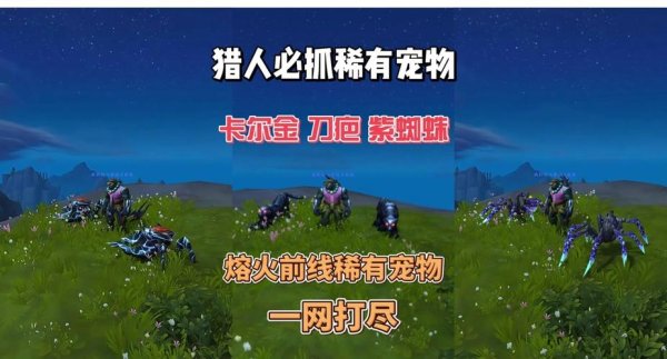 紫蛋最全游戏攻略解说_紫蛋最新游戏技巧通关