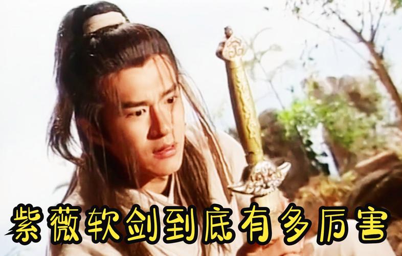 紫薇软剑最全游戏攻略解说_紫薇软剑最新游戏技巧通关