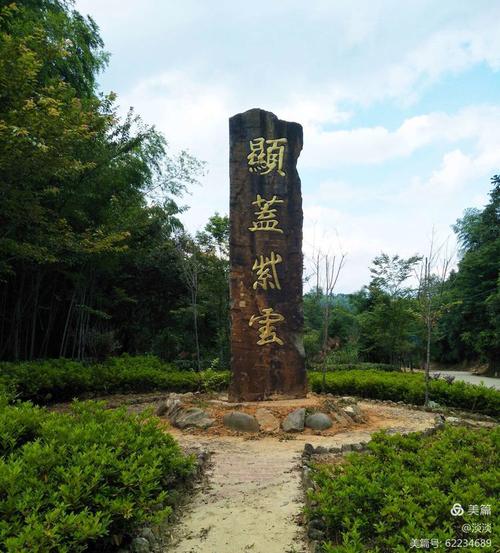 紫云龙最全游戏攻略解说_紫云龙最新游戏技巧通关