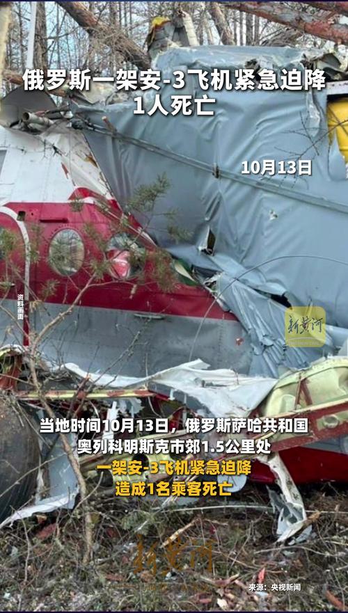 紧急迫降2最全游戏攻略解说_紧急迫降2最新游戏技巧通关