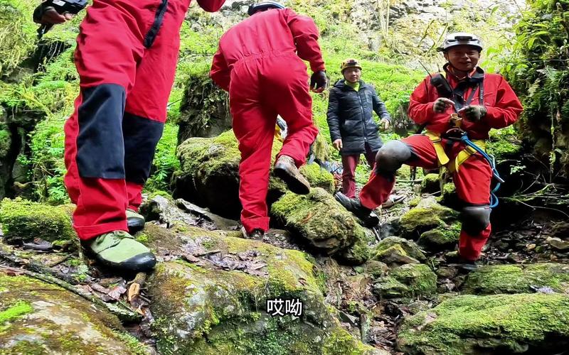 索降游戏最全攻略解说_索降游戏最新技巧通关