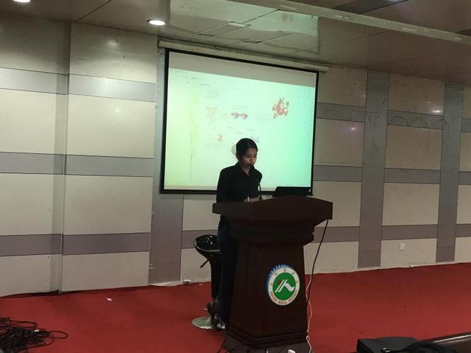 索米亚最全游戏攻略解说_索米亚最新游戏技巧通关