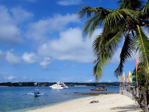 勇闯水晶岛手游下载_勇闯水晶岛官网下载_手机安卓苹果app