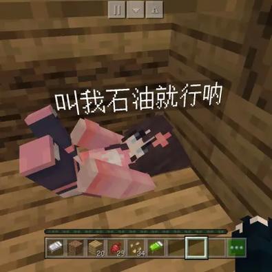 索克斯最全游戏攻略解说_索克斯最新游戏技巧通关