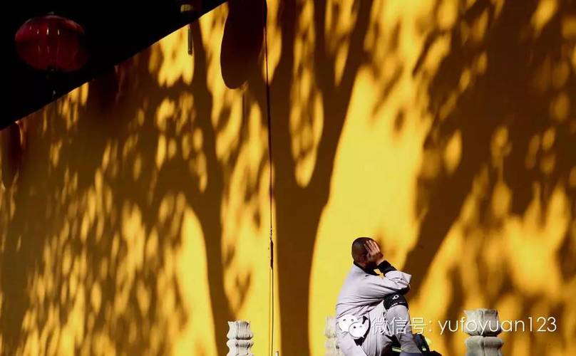 系缚最全游戏攻略解说_系缚最新游戏技巧通关