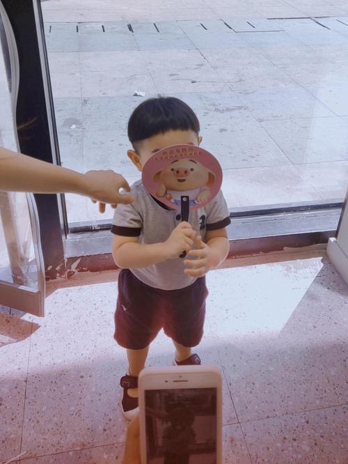 精致的猪猪男孩最全游戏攻略解说_精致的猪猪男孩最新游戏技巧通关