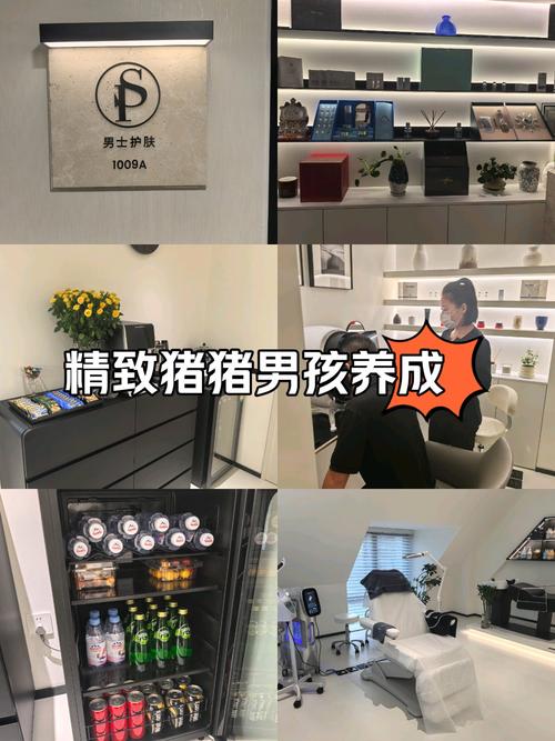 精致的猪猪男孩最全游戏攻略解说_精致的猪猪男孩最新游戏技巧通关