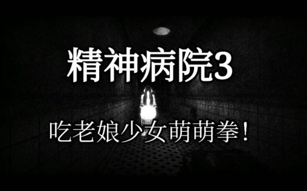 精神病院3全流程攻略解说_精神病院3最新技巧通关秘籍_